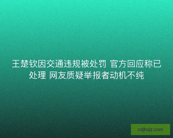 王楚钦因交通违规被处罚 官方回应称已处理 网友质疑举报者动机不纯
