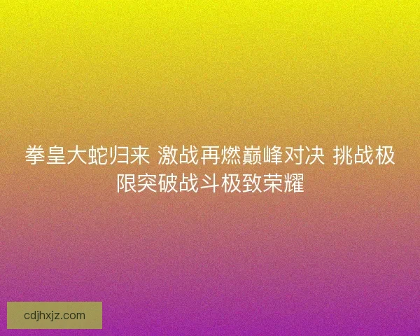 拳皇大蛇归来 激战再燃巅峰对决 挑战极限突破战斗极致荣耀