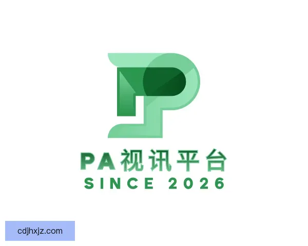 了解PA视讯